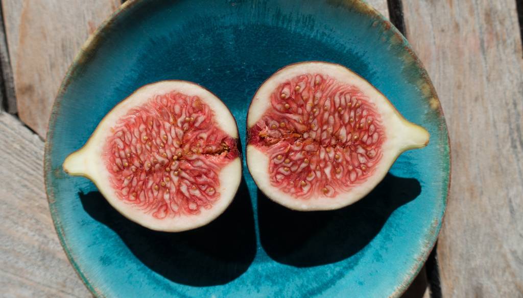 VIDEO: Zakaj nas med nabiranjem fig srbi koža in če jih pojemo preveč pa celo peče po ustih? 