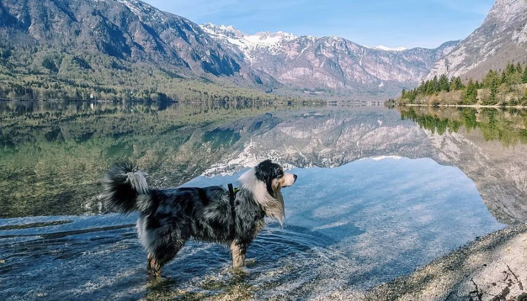 Po poginu mladička pri Jasni opozarjajo: »Tudi tekoče vode niso več varne«