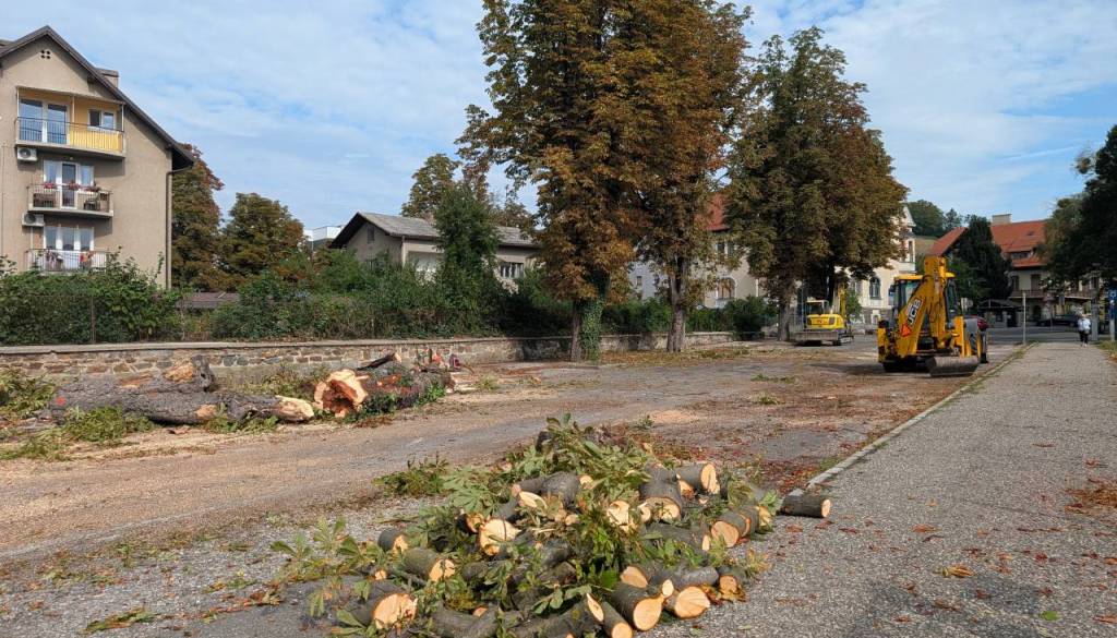 Sedem kostanjev je padlo, posadili jih bodo 13: A kdaj bodo zares nadomestili stari drevored?