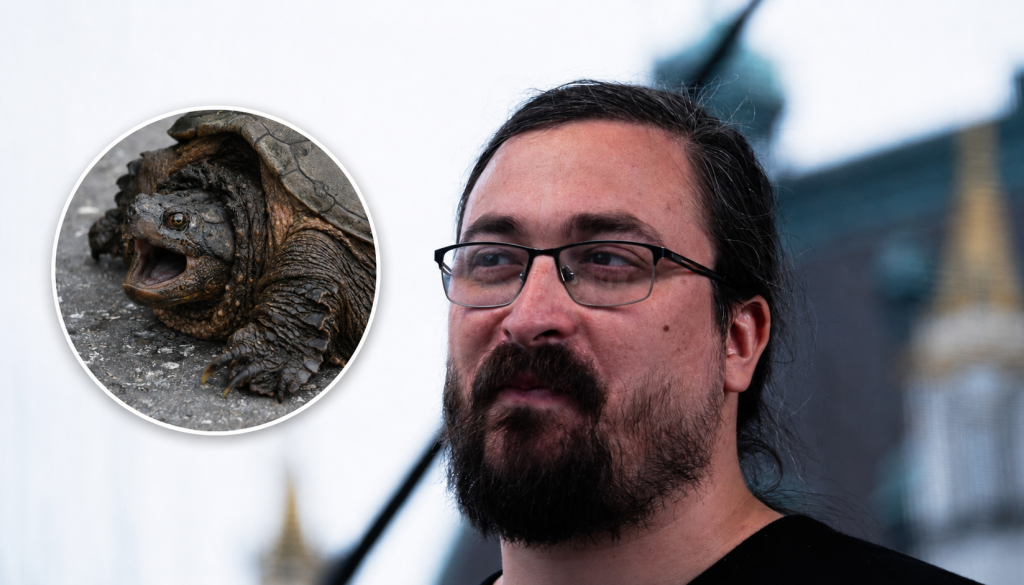 Kandidat za župana Ljubljane o želvi, ki grize turiste: »Opravlja delo lokalnih oblasti«