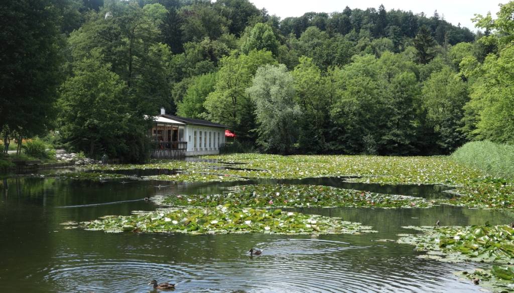 Iz Tivolskega ribnika je izginila ena najbolj prepoznavnih skulptur v Ljubljani: Zdaj je znano, kaj se je zgodilo
