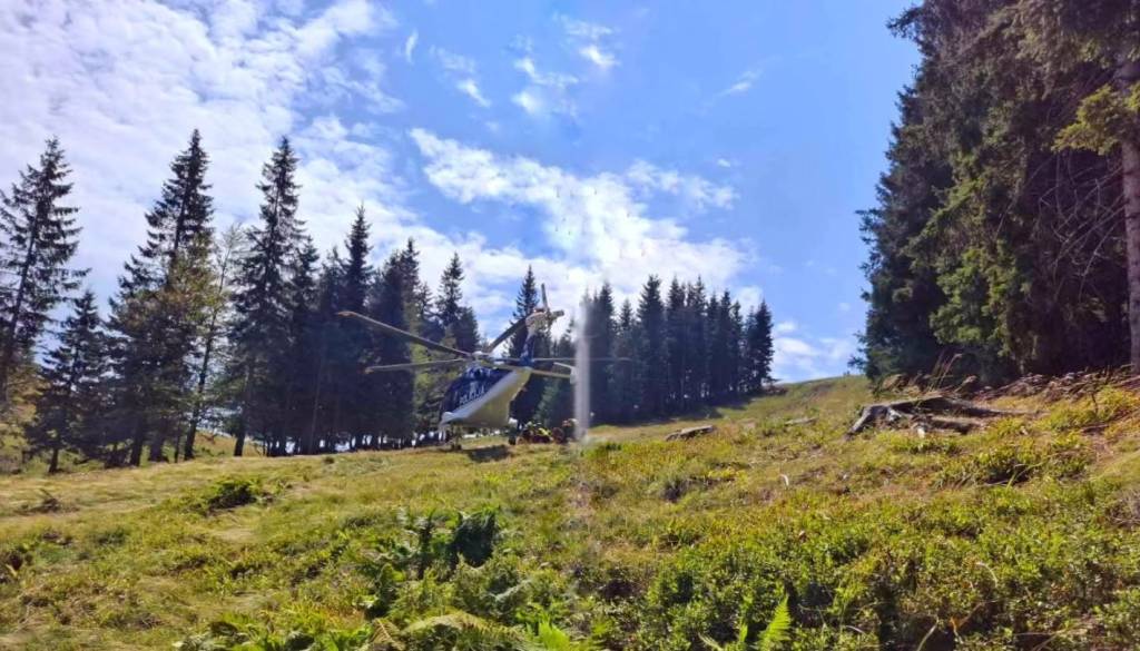 Ste ga videli? Po izgubi stika s planincem na Slovenski planinski poti stekla iskalna akcija