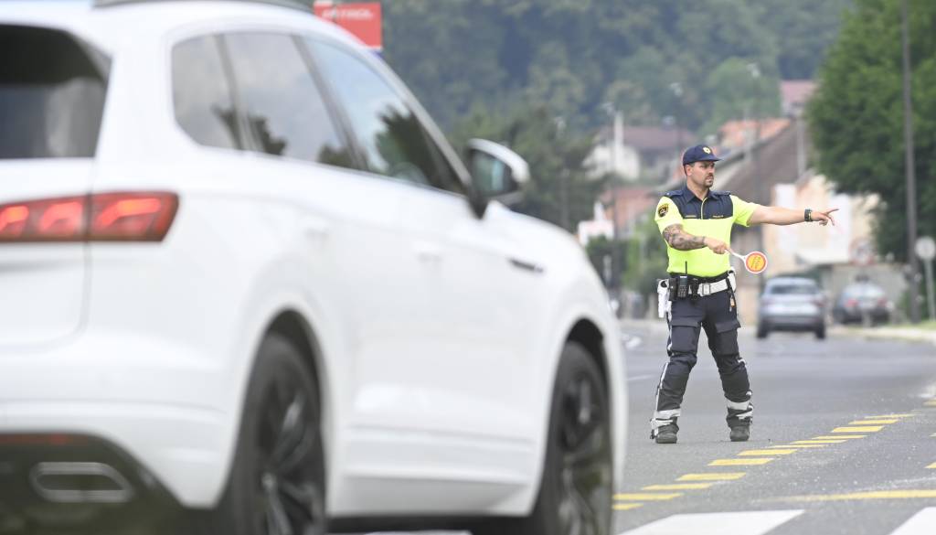 Prometni kaos na več odsekih, promet ovira tudi žival na cesti 
