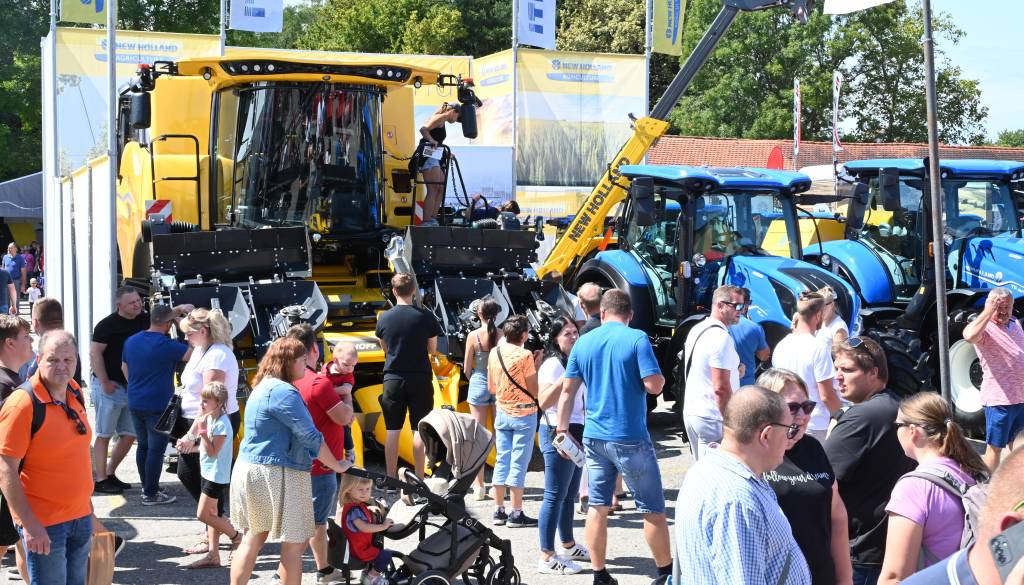 Konec avgusta dogodek, ki privabi na tisoče obiskovalcev: Vino Vinske kraljice, eksotični datlji in nagrajene dobrote