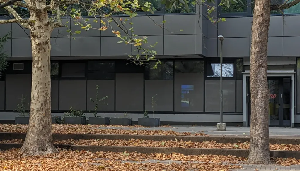 Rjavo listje po Ljubljani sredi avgusta: Kaj se dogaja z drevesi?