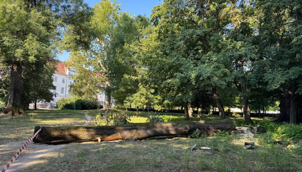 FOTO: soboški park