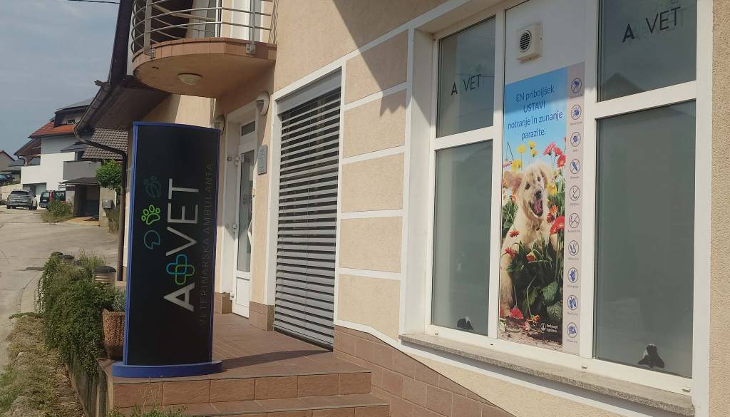 V Novem mestu prišlo do večje spremembe veterinarskih dežurstev