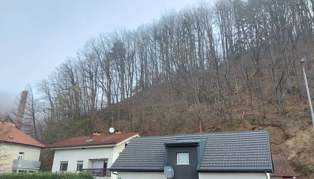 Pozor, vozniki: Na Dolenjski cesti ta vikend prihaja zapora zaradi sečnje dreves na Golovcu