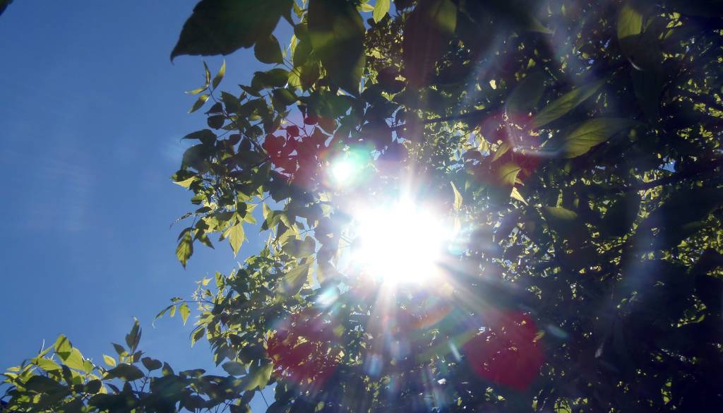 Pred nami vroč konec tedna, danes možna tudi kakšna nevihta
