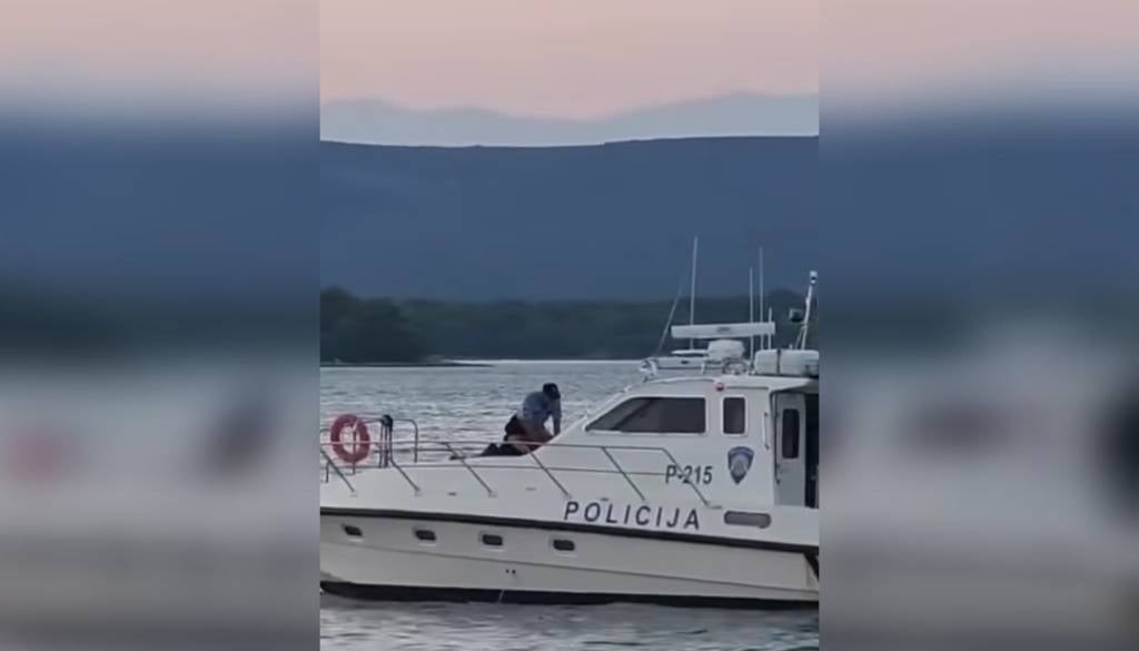 VIDEO: Posnetek zgrozil javnost: Policist v morje vrgel psa, policija pojasnila dogajanje