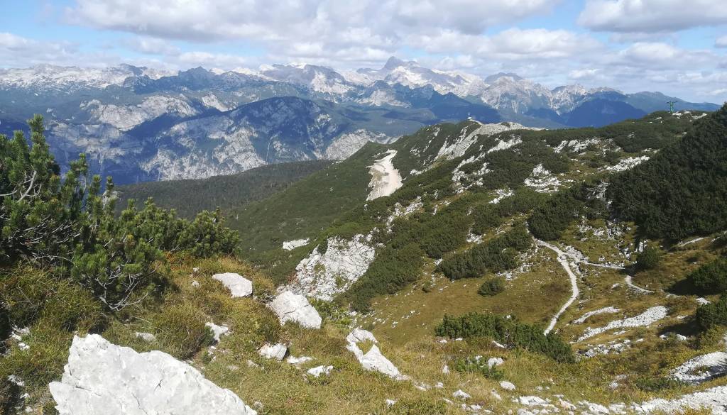 Gorska nesreča na Voglu, poškodovano planinko reševali s helikopterjem