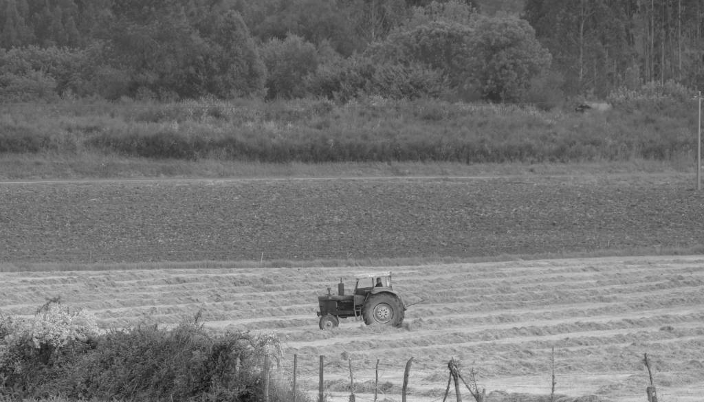 Tragična nesreča: Traktor se je prevrnil, voznik izgubil življenje