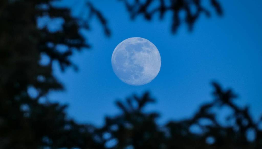 Danes poglejte v nebo, Luna bo za več kot uro skrila Venero