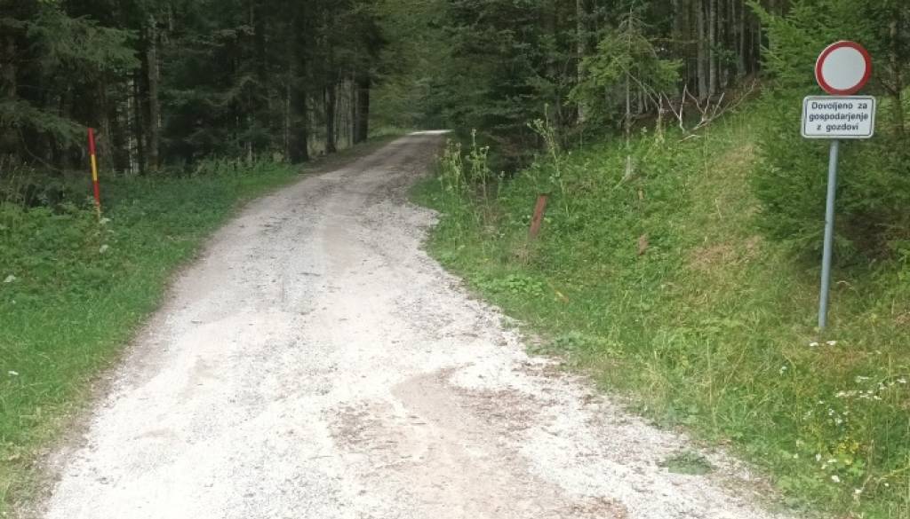 Bodite previdni! Na Pohorju vas te napake lahko drago stanejo, kazni tudi do 2000 evrov