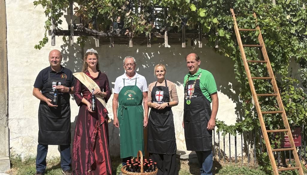 FOTO in VIDEO: Na Ptujskem gradu opravili tradicionalno trgatev, letošnji letnik obeta odlično kakovost