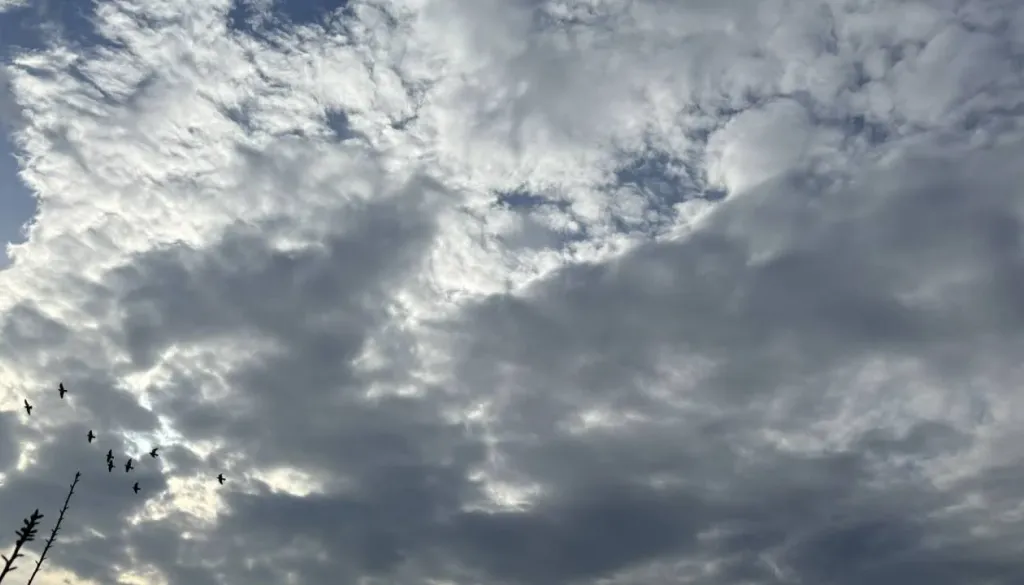 Vreme bo danes še muhasto, to pa za konec tedna napovedujejo meteorologi