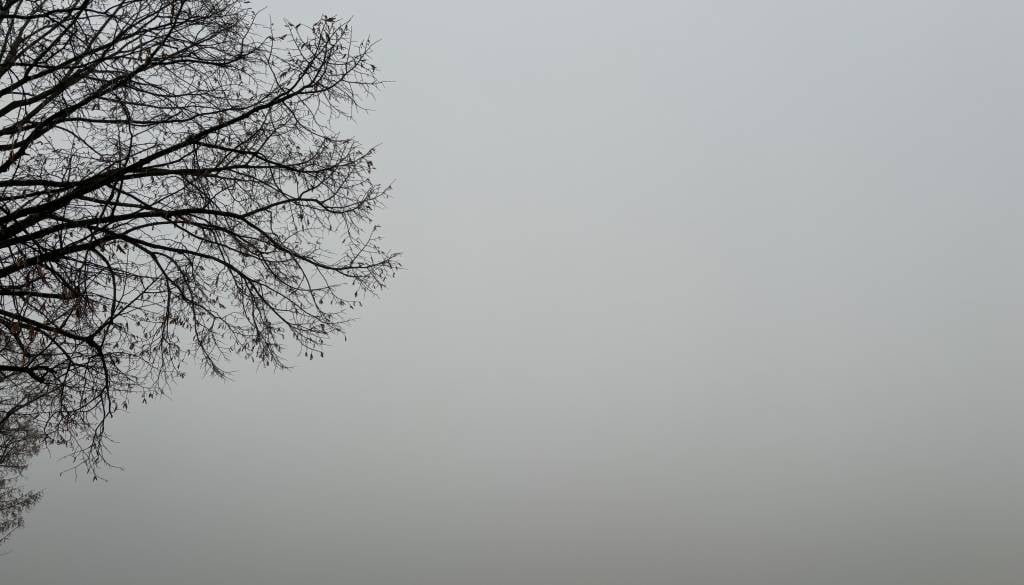 Prvi pravi mraz je pred vrati, temperature bodo zjutraj blizu ničle