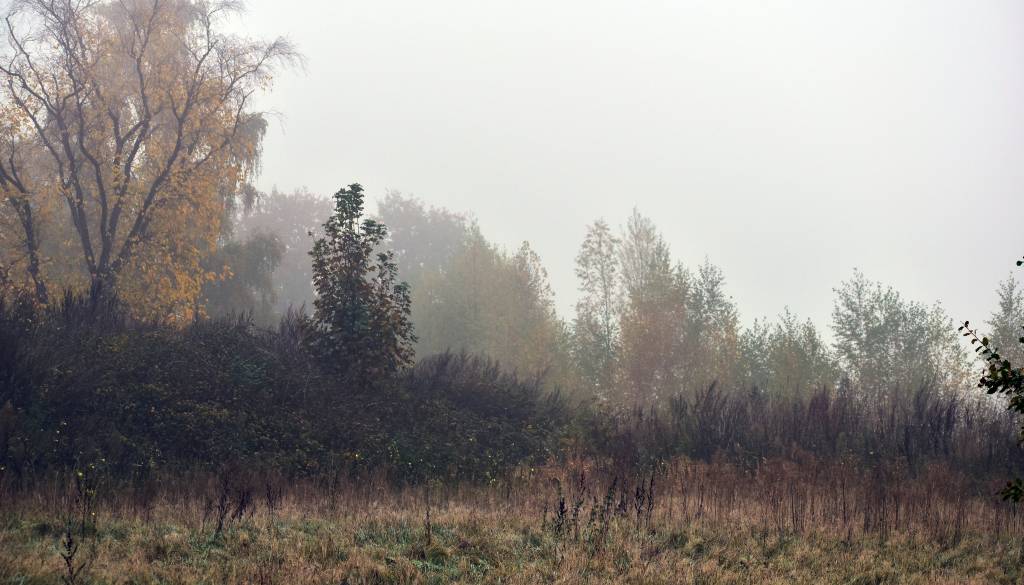 Jesen že kaže zobe: Jutranje temperature bodo ponekod padle vse do ničle