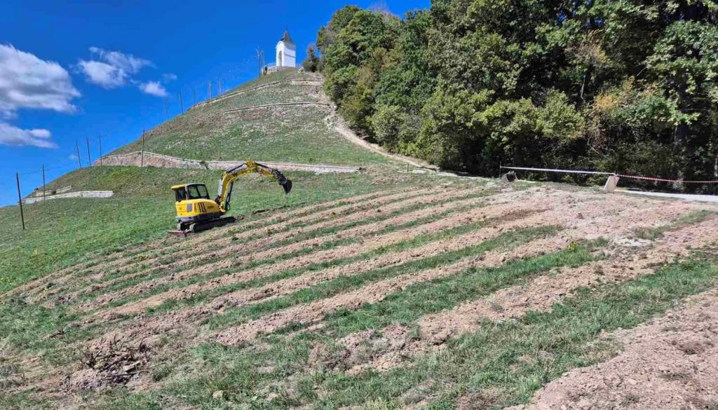 Na Piramidi že brnijo stroji, začela so se pripravljalna dela za novi vinograd