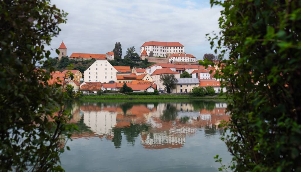 Ta konec tedna bo na Ptuju pestro, mesto bodo zaznamovale zgodbe, rock in vinska doživetja