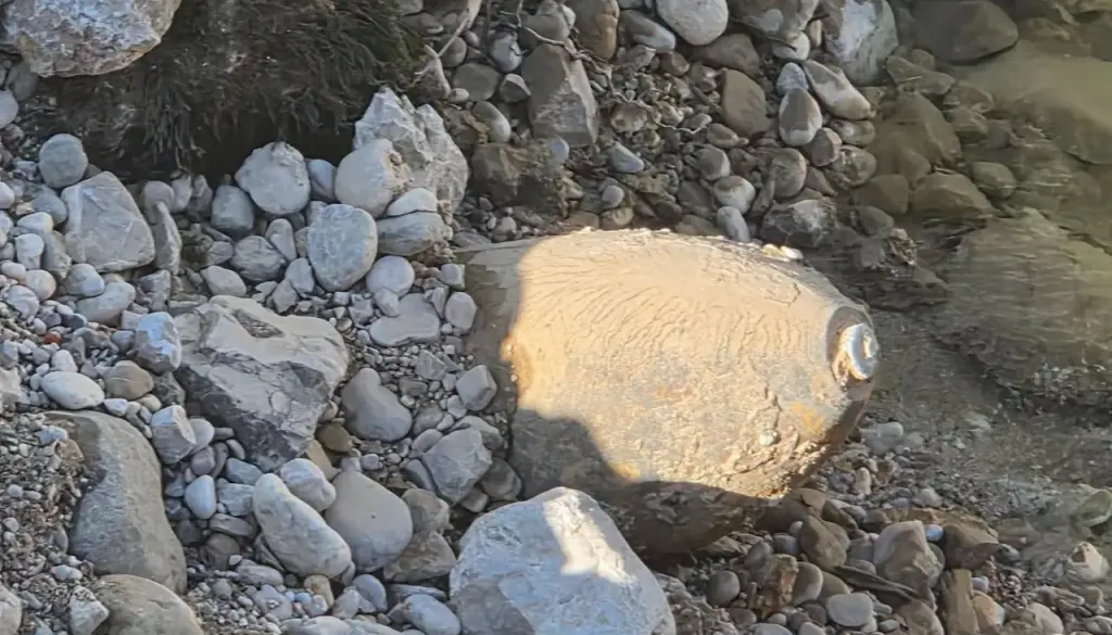 V Savi pri Globokem našli neeksplodirano letalsko bombo iz druge svetovne vojne