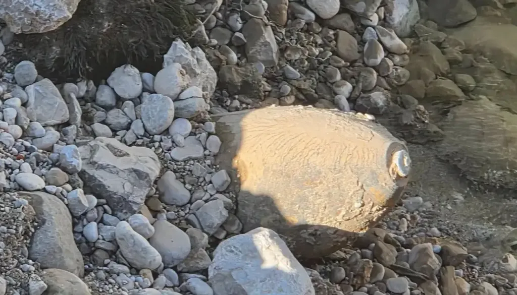 Pri Mišačah danes odstranjevanje nove letalske bombe iz Save