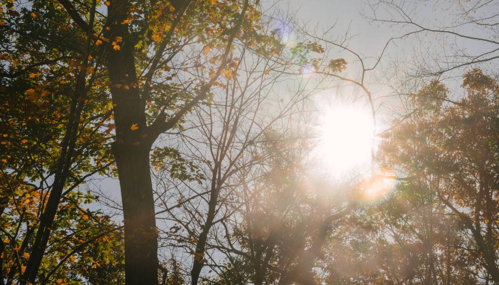 Indijansko poletje prihaja: temperature do 26 °C, sončno vreme bo vztrajalo ves teden