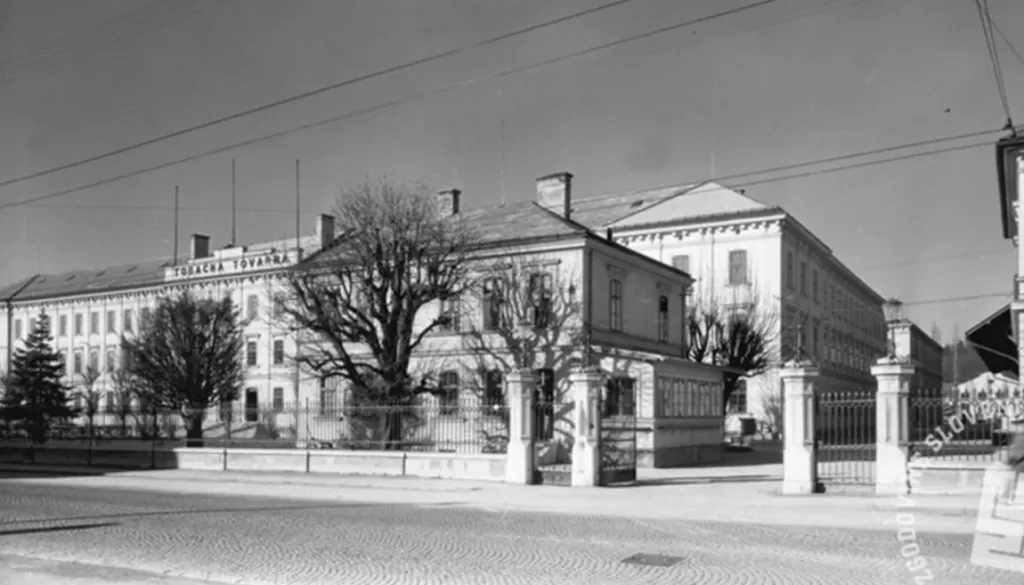 Tržaška pred petdesetimi leti: cesta, ki je lovila vso Primorsko
