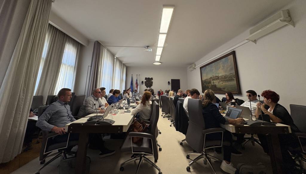 Zadnja seja pred volitvami končana v dobrih 20 minutah, mestni svetniki brez daljših razprav