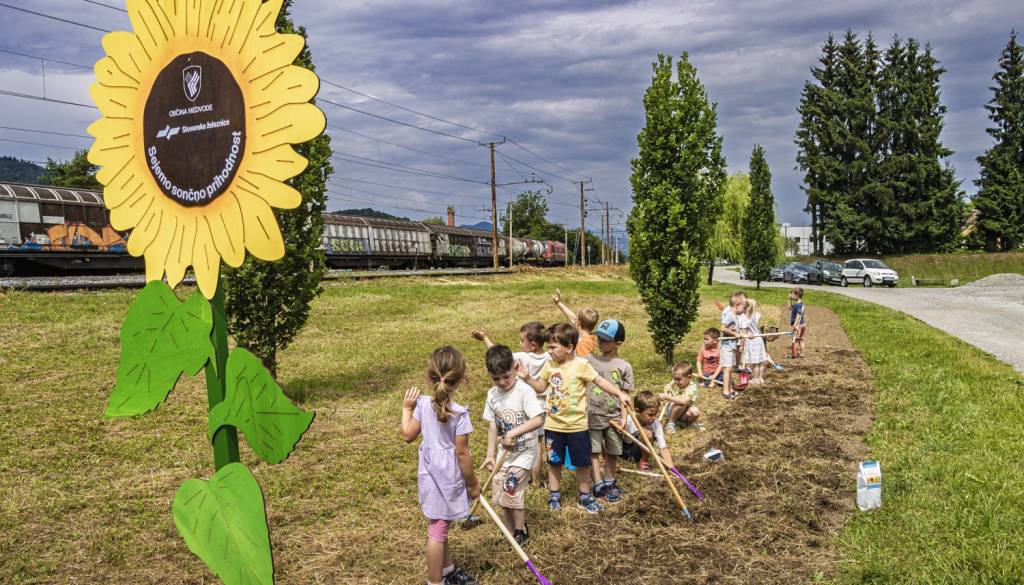 Projekt Slovenskih železnic Sejemo sončno prihodnost prejel svetovno nagrado