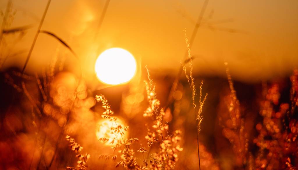 Jesen ali poletje? Temperature bodo danes presenetljivo visoke