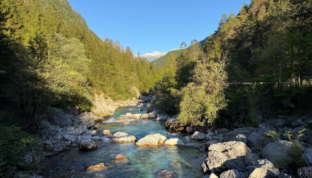 Tujci pogosto lovijo brez dovolilnic, krivolova je vse več