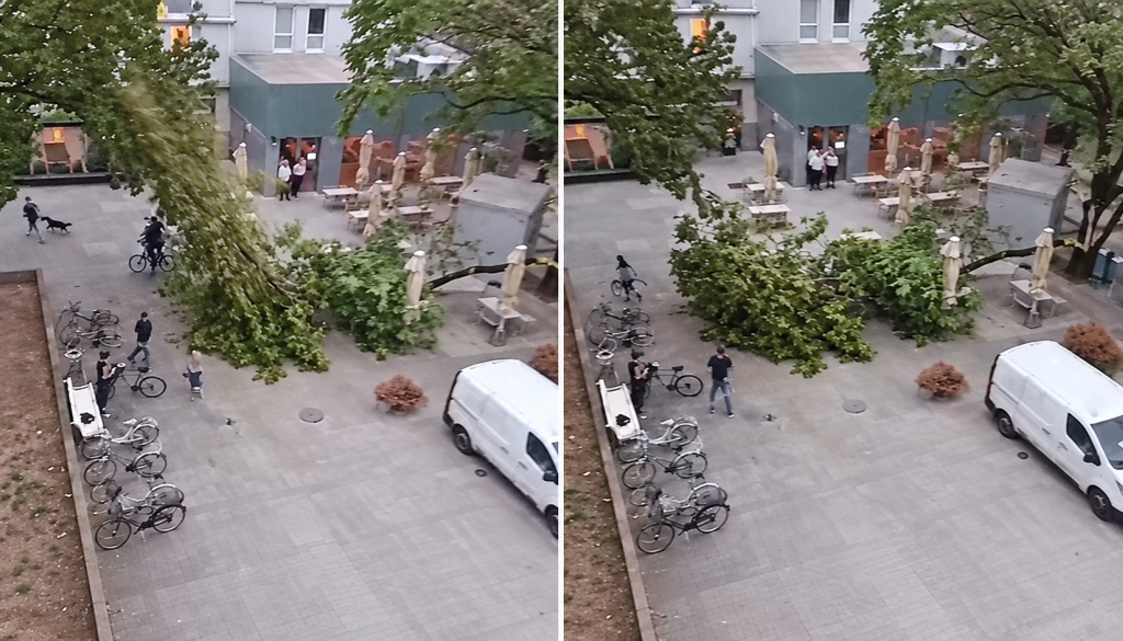 Incident med neurjem: V centru med neurjem na poln trg ljudi padlo drevo