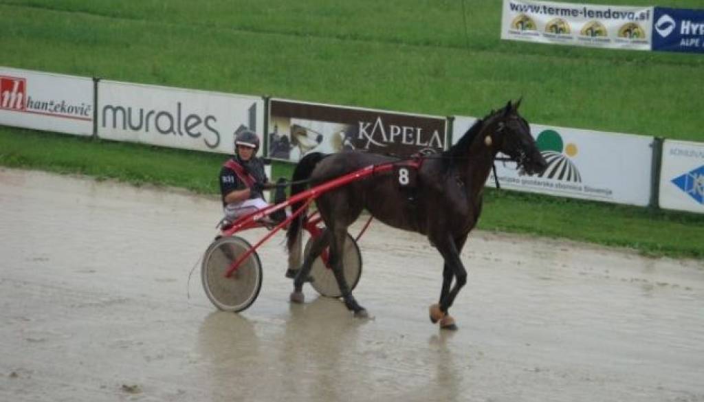 Rene Hanžekovič.jpg