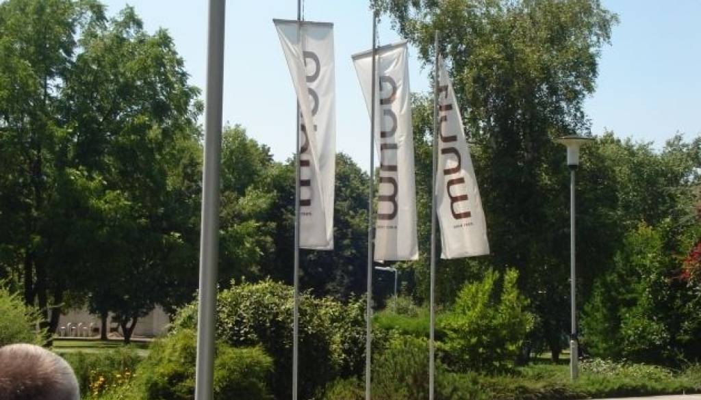 Nadzorniki so ugotovili, da Mura ni insolventna