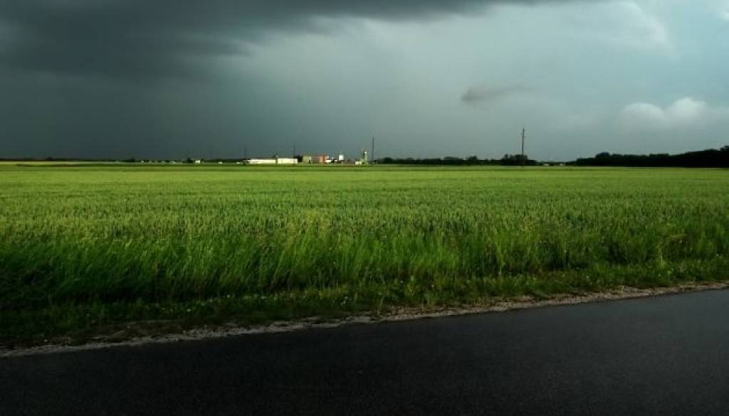 Foto: Tadej Kirinčič