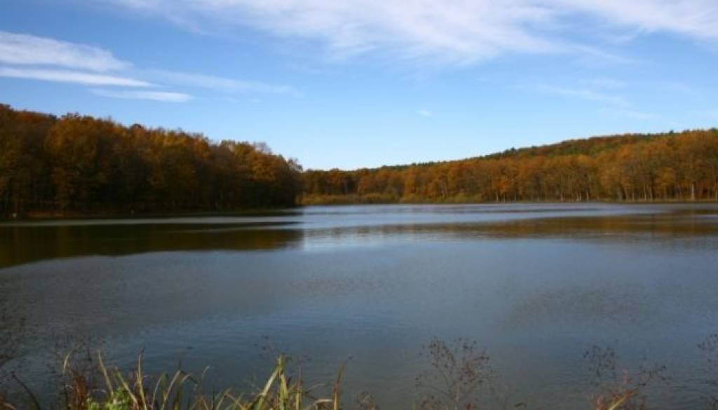 bukovnisko-jezero.jpg