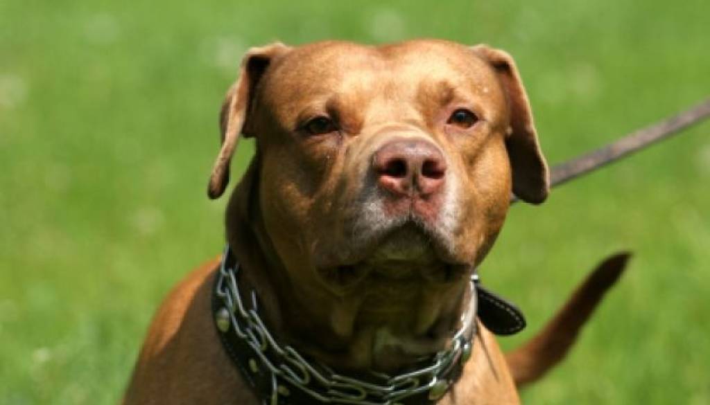 Fotografija je simbolična