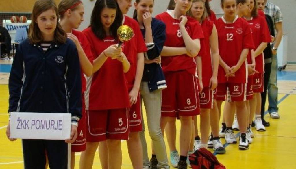 KK Pomurje Skiny
