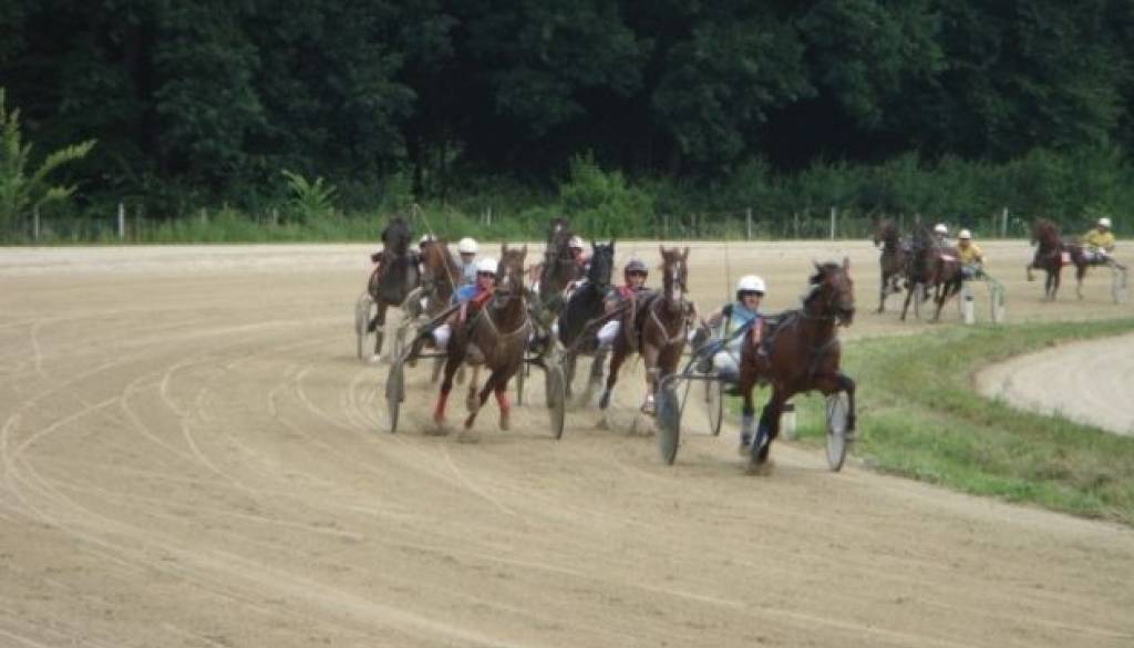 Dirka 2009.jpg