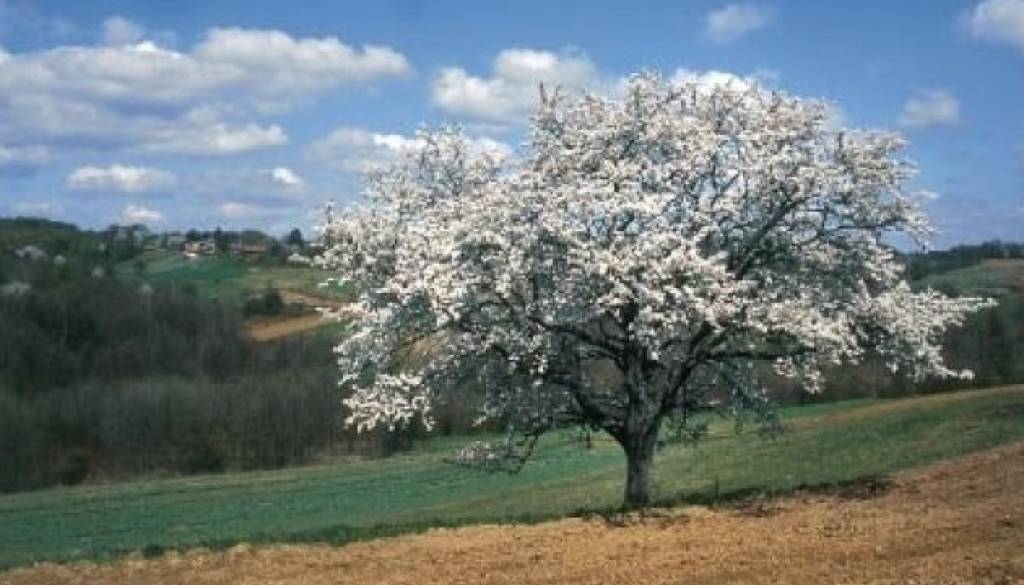 pokrajina.jpg