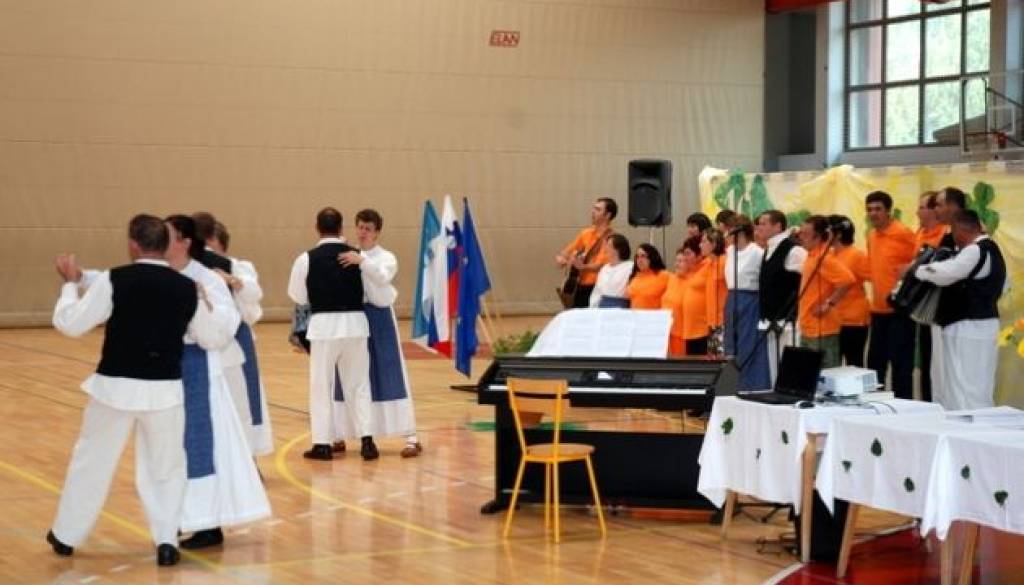 Proslava ob deseti obletnici VDC (1).JPG