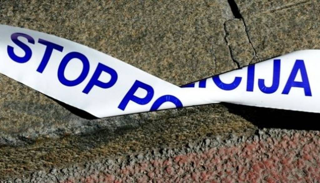 policja_2.jpg