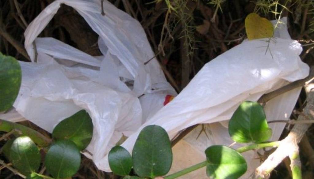 Plastične vrečke.jpg