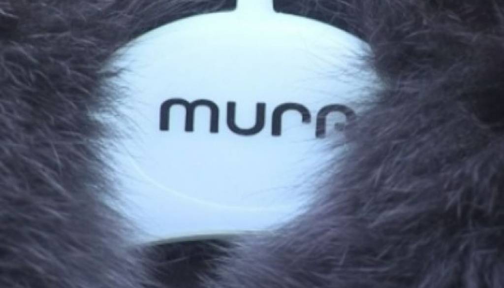 Mura.jpg