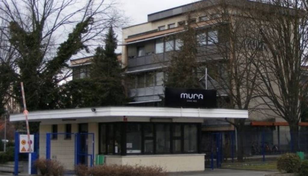 mura (1).JPG