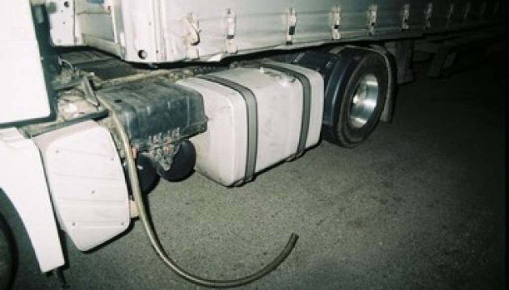 F1130002.JPG