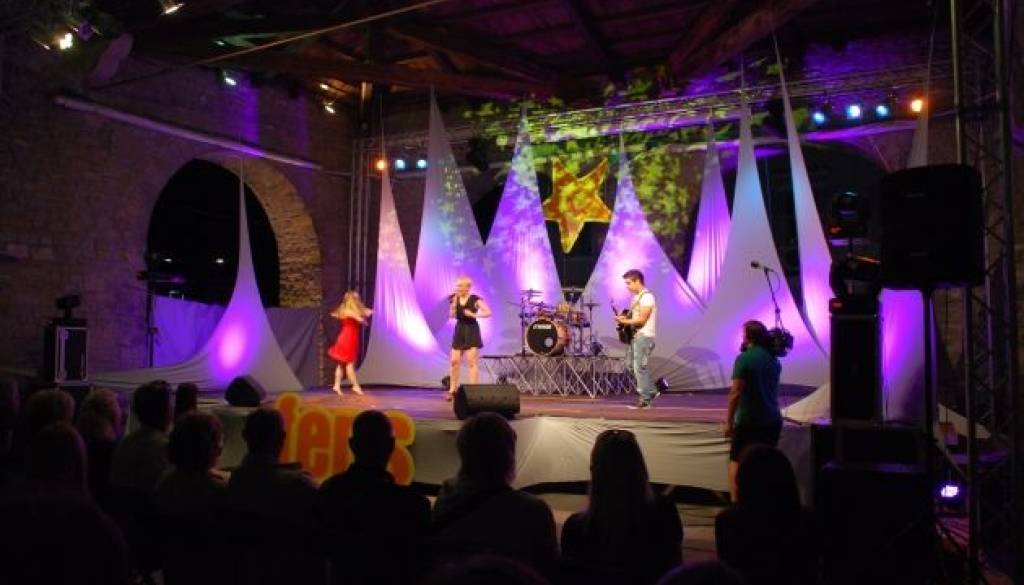 FeNS 2011 Tina Vrdjuka (2).JPG