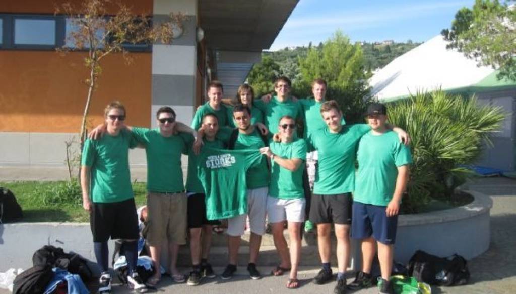 Storks_2.jpg