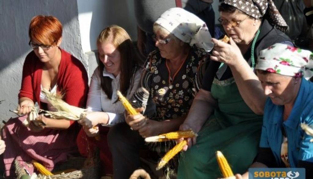 _DSC0047 (Kopiraj).JPG